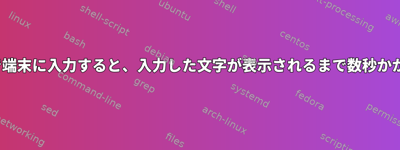 Ubuntuで端末に入力すると、入力した文字が表示されるまで数秒かかります。