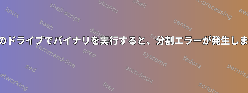 2番目のドライブでバイナリを実行すると、分割エラーが発生します。