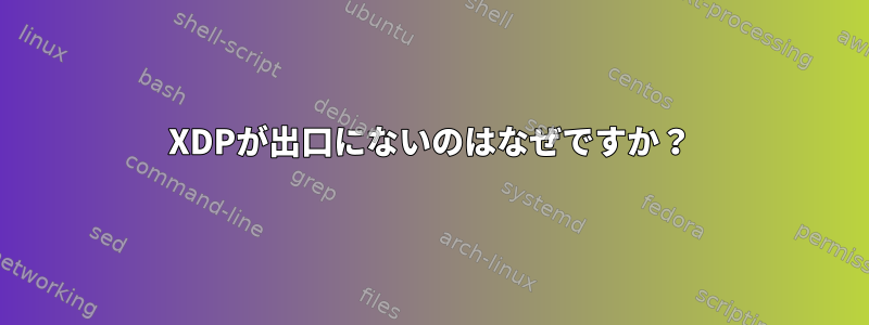 XDPが出口にないのはなぜですか？