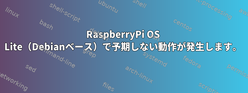 RaspberryPi OS Lite（Debianベース）で予期しない動作が発生します。