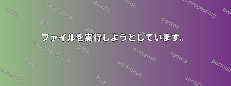 ファイルを実行しようとしています。