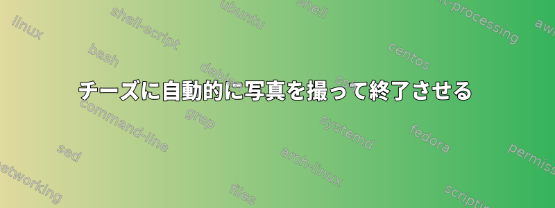 チーズに自動的に写真を撮って終了させる