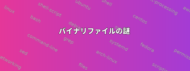 バイナリファイルの謎