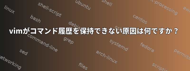 vimがコマンド履歴を保持できない原因は何ですか？