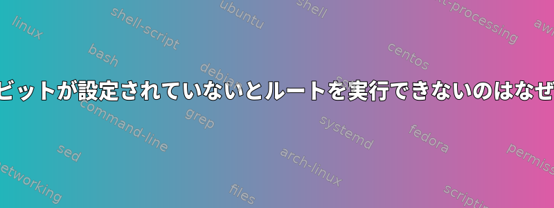 実行可能ビットが設定されていないとルートを実行できないのはなぜですか？