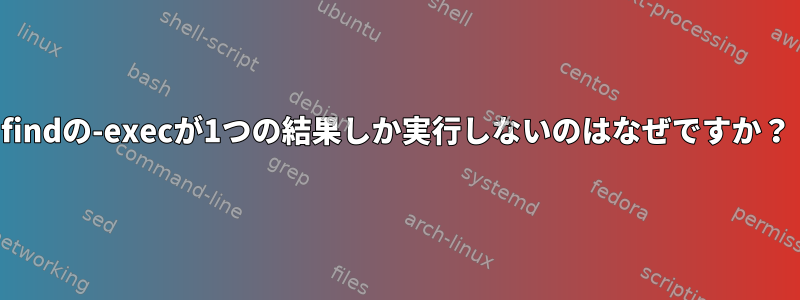 findの-execが1つの結果しか実行しないのはなぜですか？