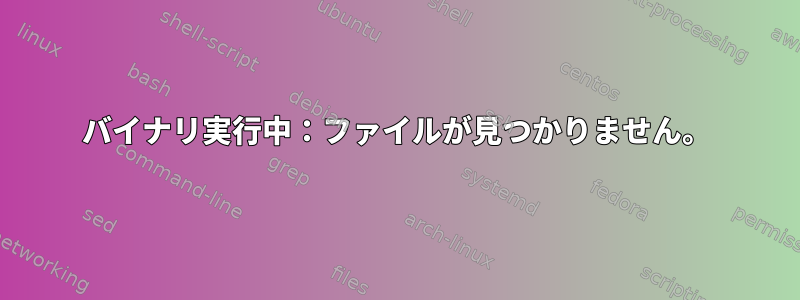 バイナリ実行中：ファイルが見つかりません。