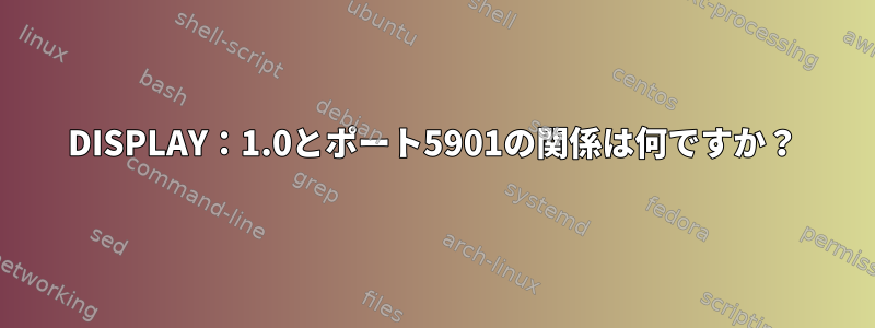 DISPLAY：1.0とポート5901の関係は何ですか？