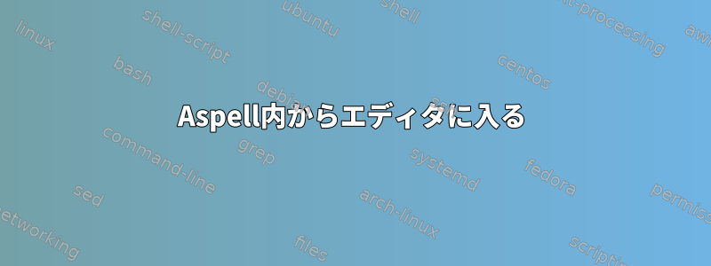 Aspell内からエディタに入る