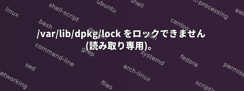 /var/lib/dpkg/lock をロックできません (読み取り専用)。