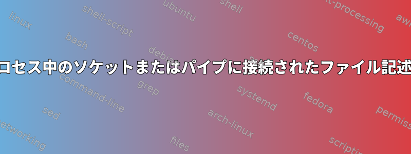 プロセス中のソケットまたはパイプに接続されたファイル記述子