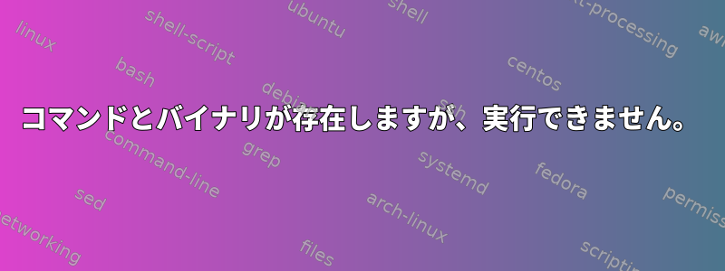 コマンドとバイナリが存在しますが、実行できません。