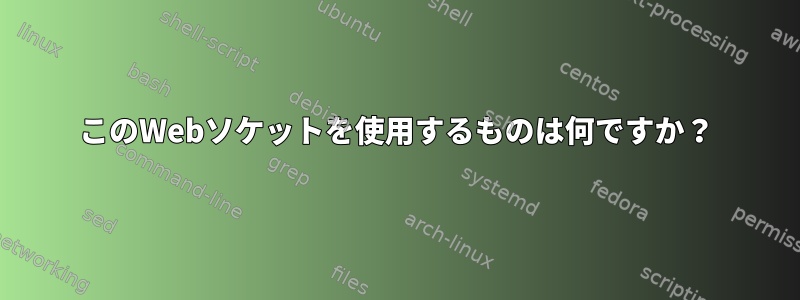 このWebソケットを使用するものは何ですか？