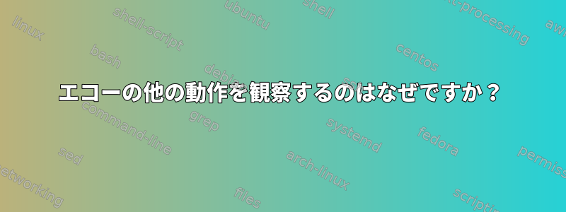 エコーの他の動作を観察するのはなぜですか？