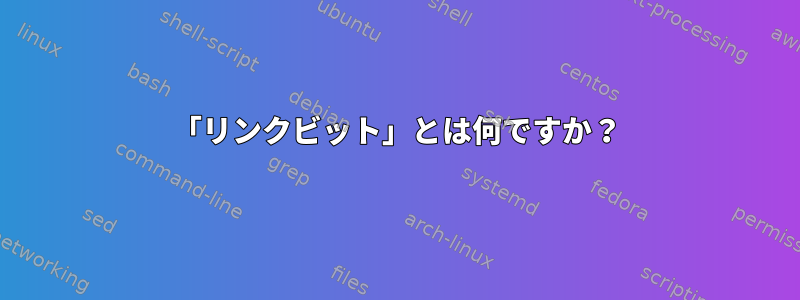 「リンクビット」とは何ですか？