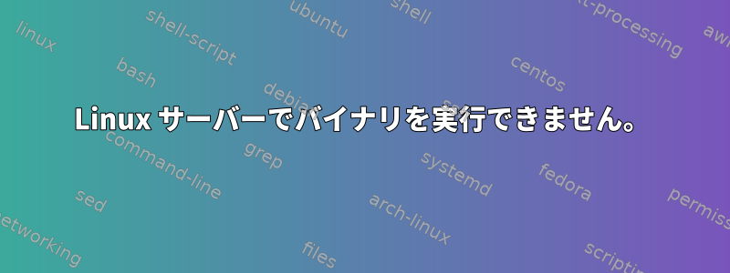 Linux サーバーでバイナリを実行できません。