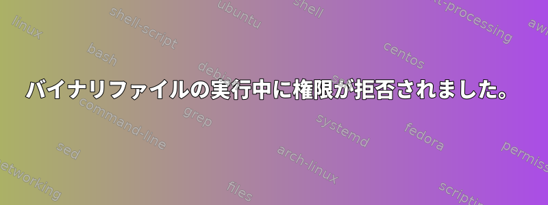 バイナリファイルの実行中に権限が拒否されました。