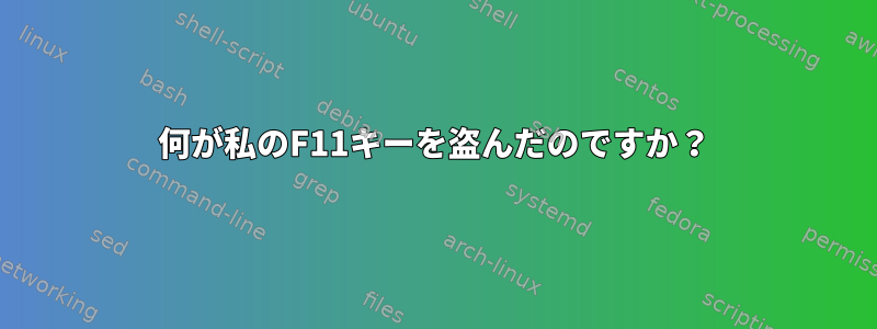 何が私のF11キーを盗んだのですか？