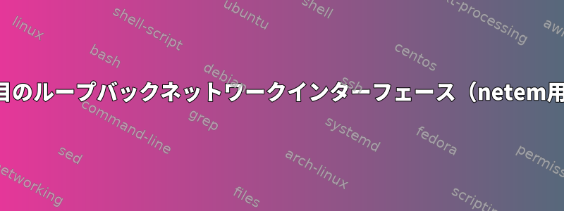 2番目のループバックネットワークインターフェース（netem用）