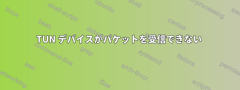 TUN デバイスがパケットを受信できない