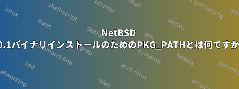 NetBSD 6.0.1バイナリインストールのためのPKG_PATHとは何ですか？