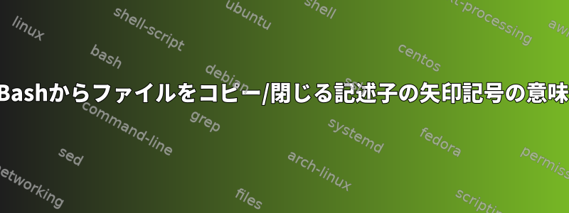 Bashからファイルをコピー/閉じる記述子の矢印記号の意味