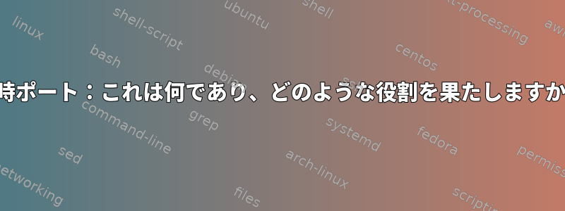 一時ポート：これは何であり、どのような役割を果たしますか？