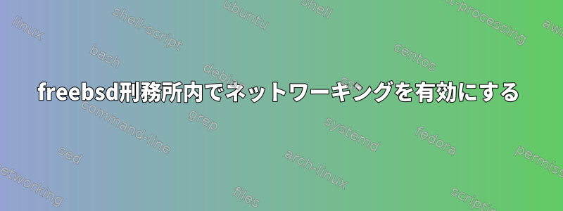 freebsd刑務所内でネットワーキングを有効にする