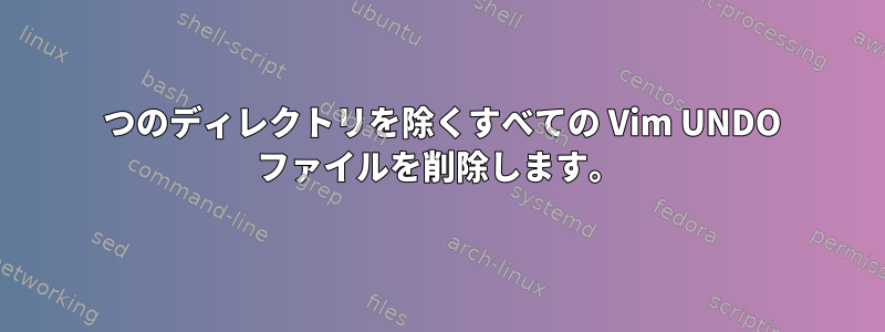 1 つのディレクトリを除くすべての Vim UNDO ファイルを削除します。