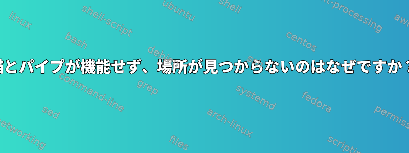 猫とパイプが機能せず、場所が見つからないのはなぜですか？