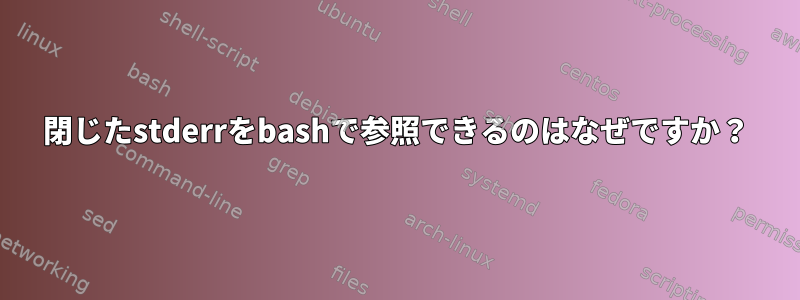 閉じたstderrをbashで参照できるのはなぜですか？