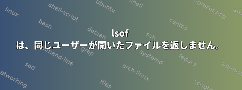 lsof は、同じユーザーが開いたファイルを返しません。