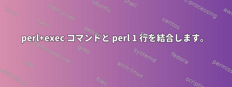 perl+exec コマンドと perl 1 行を結合します。