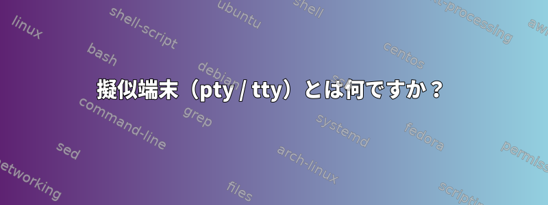 擬似端末（pty / tty）とは何ですか？