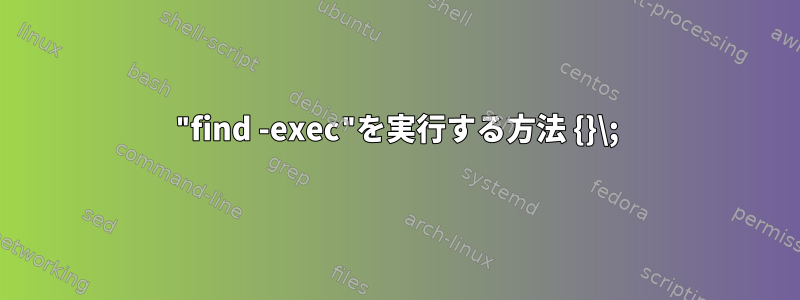 "find -exec"を実行する方法 {}\;