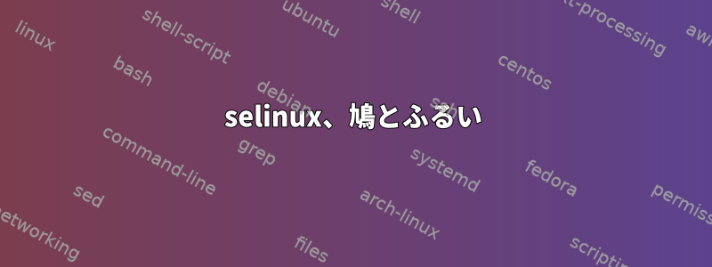 selinux、鳩とふるい