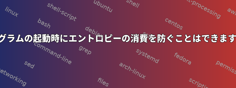 プログラムの起動時にエントロピーの消費を防ぐことはできますか？