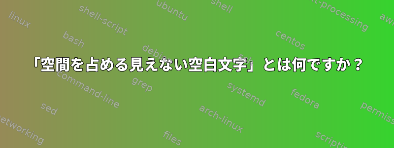 「空間を占める見えない空白文字」とは何ですか？