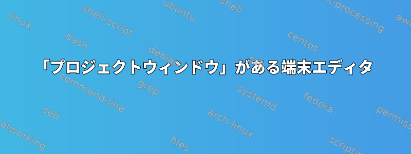 「プロジェクトウィンドウ」がある端末エディタ