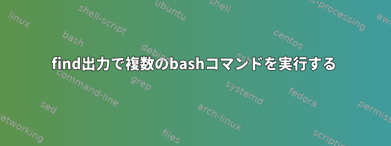 find出力で複数のbashコマンドを実行する