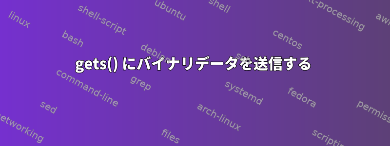 gets() にバイナリデータを送信する