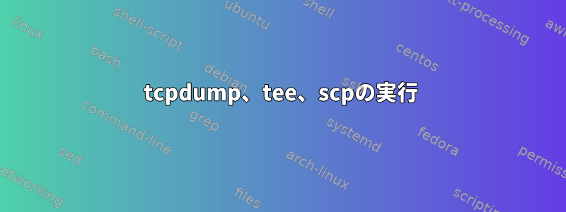 tcpdump、tee、scpの実行