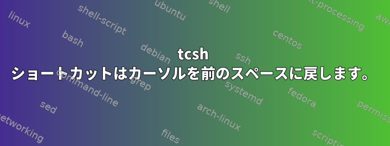 tcsh ショートカットはカーソルを前のスペースに戻します。