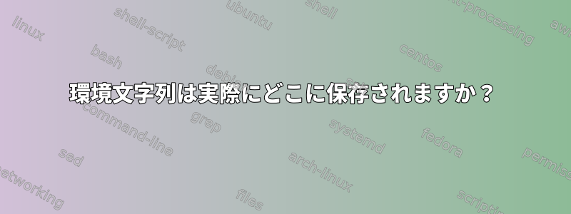 環境文字列は実際にどこに保存されますか？