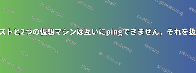 1つのホストと2つの仮想マシンは互いにpingできません。それを扱う方法