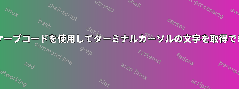 ANSIエスケープコードを使用してターミナルカーソルの文字を取得できますか？