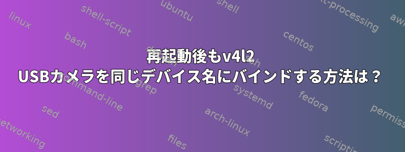 再起動後もv4l2 USBカメラを同じデバイス名にバインドする方法は？