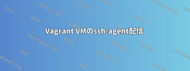 Vagrant VMのssh-agent配信