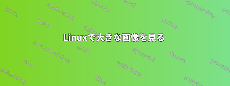 Linuxで大きな画像を見る