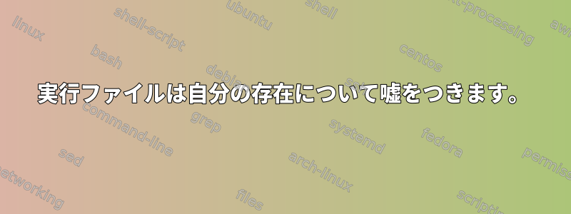 実行ファイルは自分の存在について嘘をつきます。